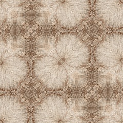 Carpet Y