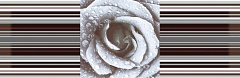 Decor Rose 02